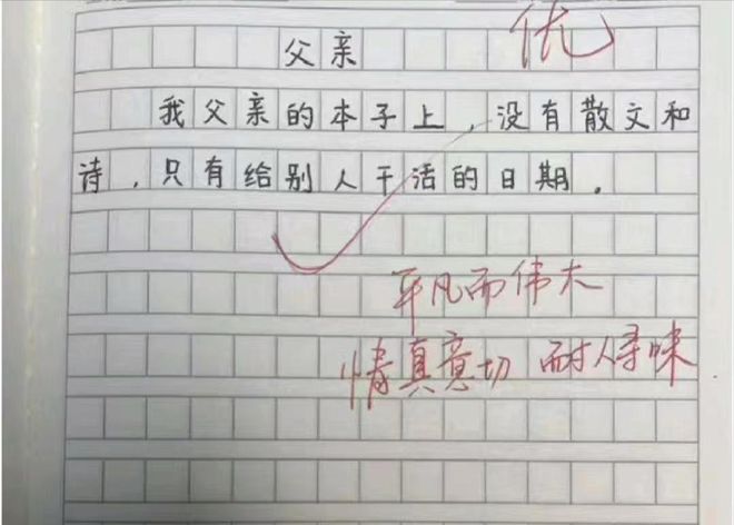 赢得作文，策略、技巧与努力的指南